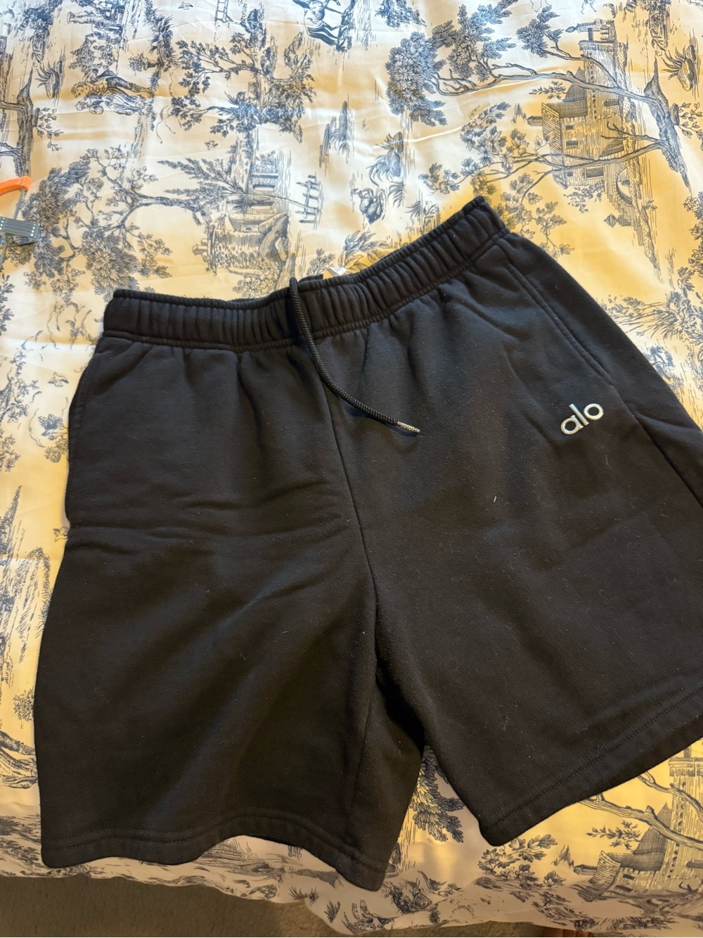 ALO Yoga Black Athletic Shorts with Drawstring - Picture 2 of 7